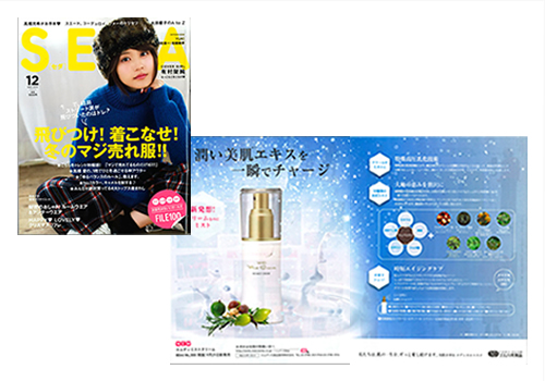 SEDA　12月号