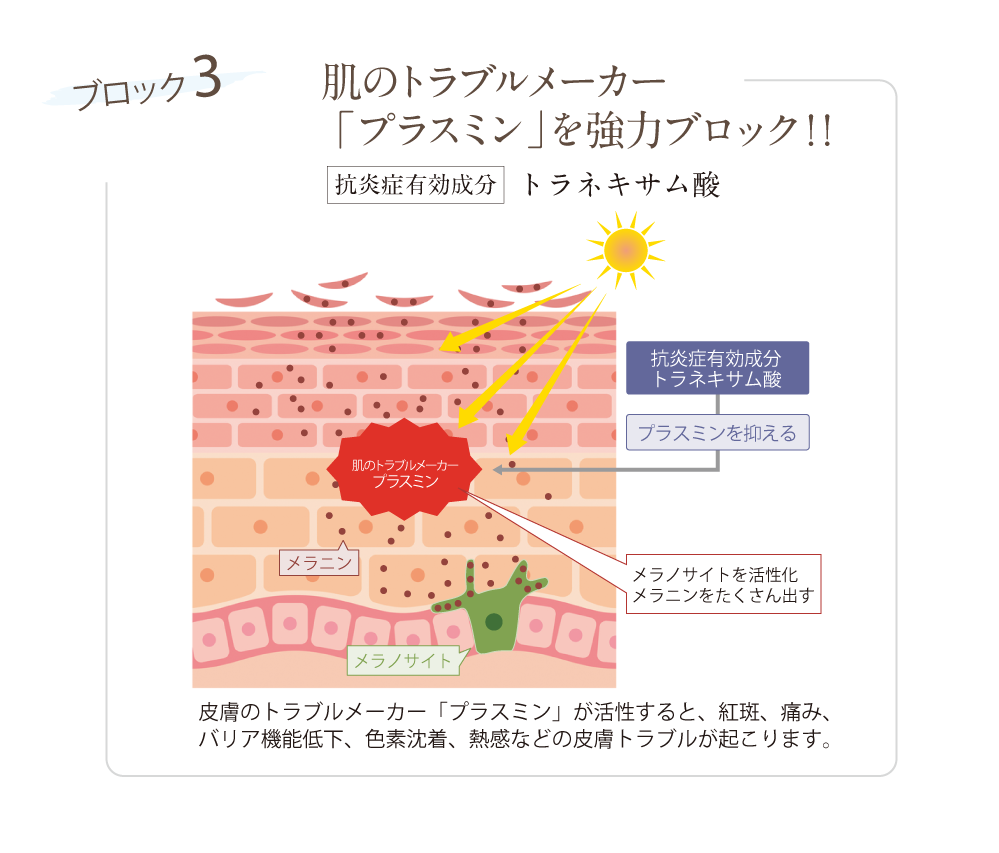 3 肌のトラブルメーカー「プラスミン」を強力ブロック！！