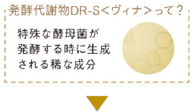 発酵代謝物 ＤＲ-Ｓ＜ヴィナ＞って？