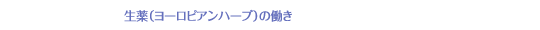 i[sAn[uj̓